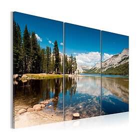 Arkiio Tavla Mountains Trees And Pure Lake 60x40