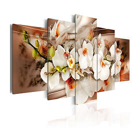 Arkiio Tavla Excellent Composition 200x100 A3-N4166-DKX