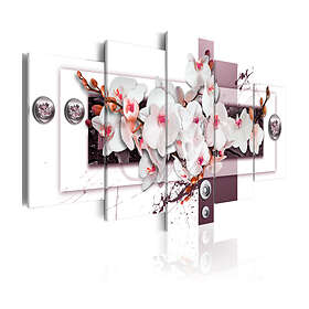 Arkiio Tavla Orchid's Mechanism 100x50 A3-N6162