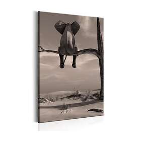 Arkiio Tavla Elephant in the Desert 60x90