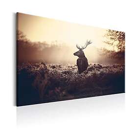 Arkiio Tavla Lurking Deer 120x80 A3-N7067-DKX