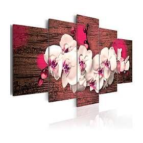 Arkiio Tavla Glädje Och Orkidé 100x50