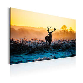 Arkiio Tavla Wintertime 120x80 A3-N7068-DKX