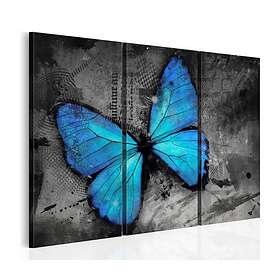 Arkiio Tavla The Study Of Butterfly Triptych 60x40