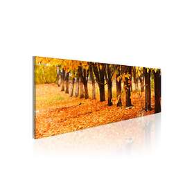 Arkiio Tavla Park Covered With Golden Leaves 120x40