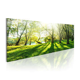 Arkiio Tavla Rays Of Sunshine 120x40