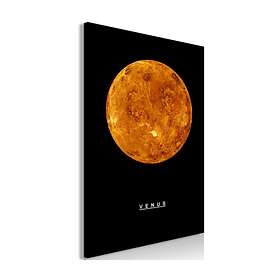 Arkiio Tavla Venus (1 Part) Vertical 40x60 A3-N8218