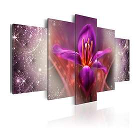 Arkiio Tavla Among The Stars 100x50