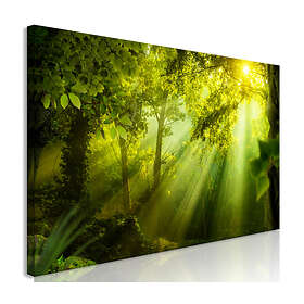 Arkiio Tavla In the Sunshine Narrow (1 Part) 135x45