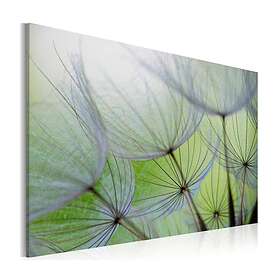 Arkiio Tavla Dandelion in the Wind 120x80
