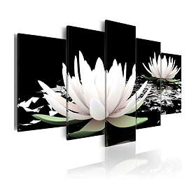 Arkiio Tavla Delicate Beauty 100x50