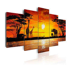 Arkiio Tavla Hot Safari 100x50 A3-N1622