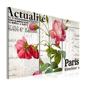 Arkiio Tavla Paris Directeur 120x80