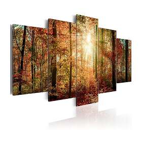 Arkiio Tavla Autumn Wilderness 100x50 A3-N4287