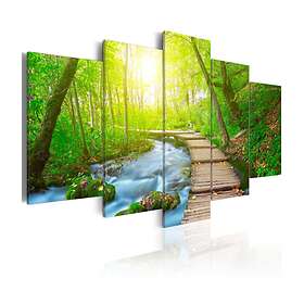 Arkiio Tavla Sunny Forest 100x50 A3-N3733