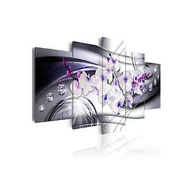 Arkiio Tavla Coolness Of Orchid 100x50