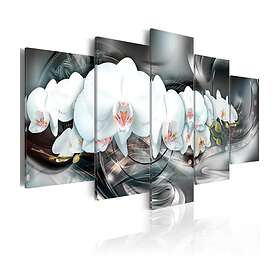 Arkiio Tavla Magical Orchid 100x50 A3-N4399