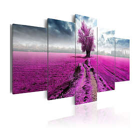 Arkiio Tavla Purple Land 100x50 A3-N3776