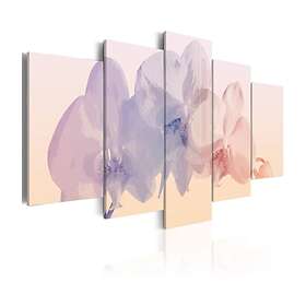 Arkiio Tavla Bräcklig Skönhet 100x50