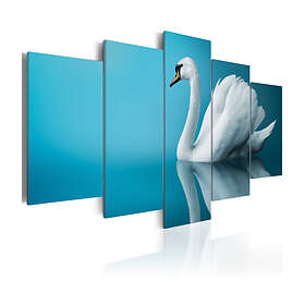 Arkiio Tavla A Swan In Blue 100x50