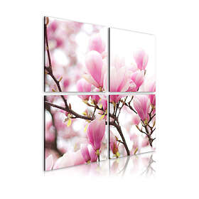 Arkiio Tavla Blommande Magnolia Träd 80x80