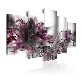 Arkiio Tavla Purple Sash 100x50 A3-N4048