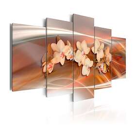 Arkiio Tavla An Orchid In Grey Shades 100x50