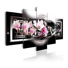 Arkiio Tavla Magnolias On A Black Background 100x50