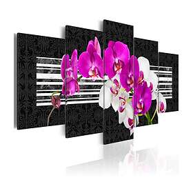 Arkiio Tavla Modest Orchids 200x100 A3-N2986-DKX