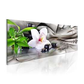 Arkiio Tavla Zen Composition Bamboo Orchid And Stones 135x45