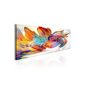 Arkiio Tavla Colourful Cyclone 150x50 A3-N6643-DK150