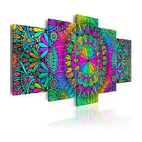 Arkiio Tavla Mandala Peacock Feathers 100x50 A3-N6781