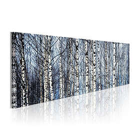 Arkiio Tavla Vita björkar 135x45