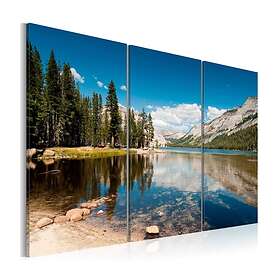 Arkiio Tavla Mountains Trees And Pure Lake 120x80