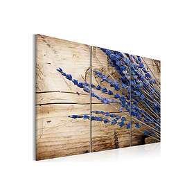 Arkiio Tavla Lavander 120x80 A3-N2833-DKX