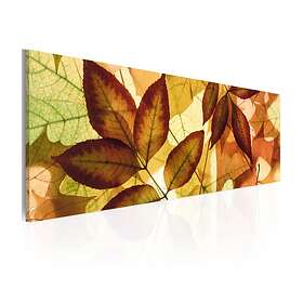 Arkiio Tavla Kollage Löv 120x40