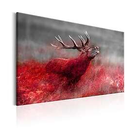 Arkiio Tavla Bloody Field 120x80 A3-N7063-DKX