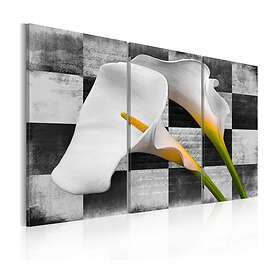 Arkiio Tavla callas (Vintage) 90x60