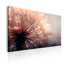 Arkiio Tavla Pink Gentleness 90x60 A3-N6636-DKX