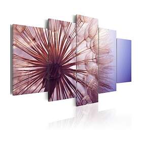 Arkiio Tavla Purple Glare 100x50 A3-N4234