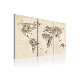 Arkiio Tavla Atlas Of Fjärilar Triptych 120x80