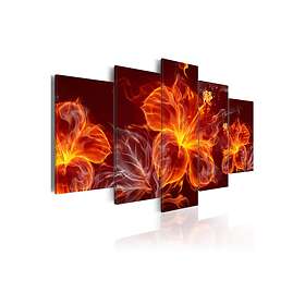 Arkiio Tavla Fiery Flowers 100x50 A3-N3707