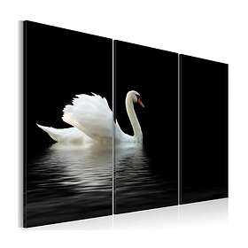 Arkiio Tavla A Lonely White Swan 120x80