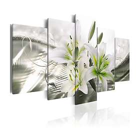 Arkiio Tavla Sensual Subtlety 200x100 A3-N6268-DKX