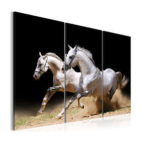 Arkiio Tavla power and velocity Horses- 90x60