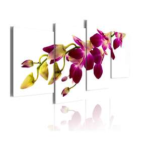Arkiio Tavla Orchids Glöd 80x45