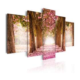 Arkiio Tavla Pink Alley 100x50