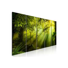 Arkiio Tavla In The Sunshine Narrow 5 200x80