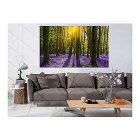 Arkiio Tavla Hyacinth Field (1 Part) Narrow 120x40 A3-N7936-DKX
