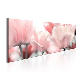 Arkiio Tavla Pink Tulips 150x50 A3-N5561-DK150